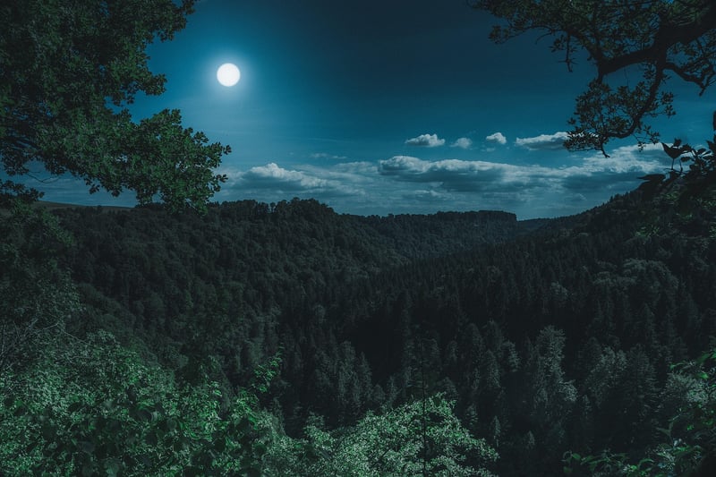 Moon's Embrace